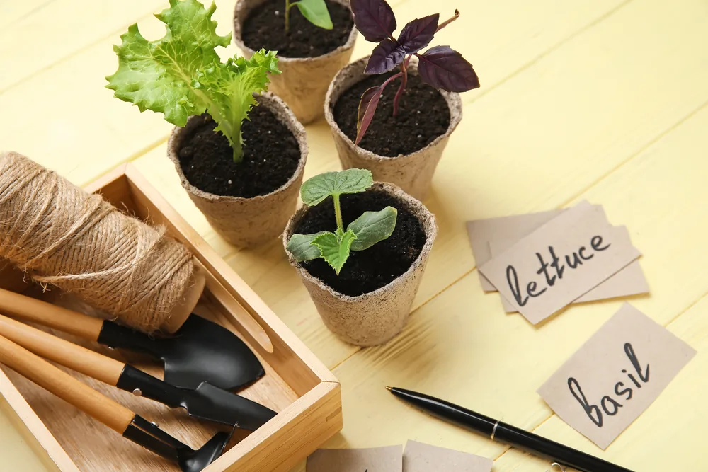 Cardboard Craft Ideas for DIY Home Decor