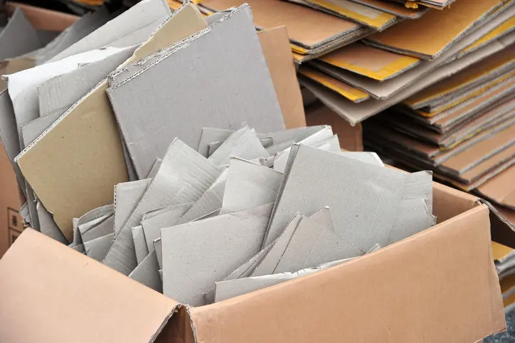 cardboard waste in landfill