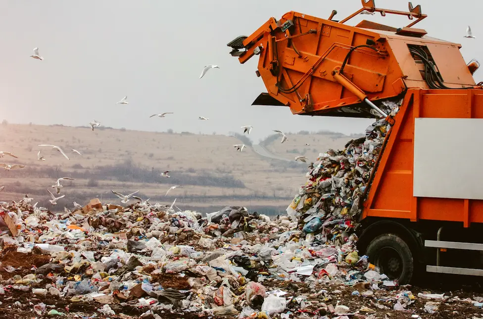 is cardboard biodegradable