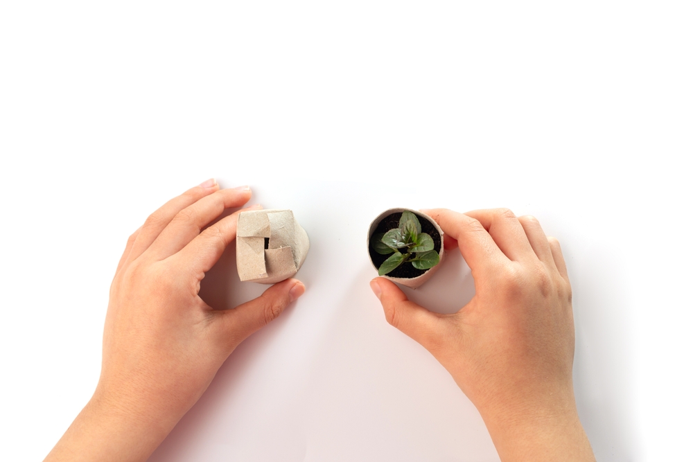 cardboard tube plant holder