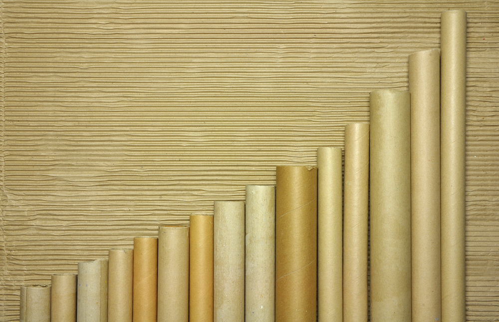 different variations of cardboard tube lengths