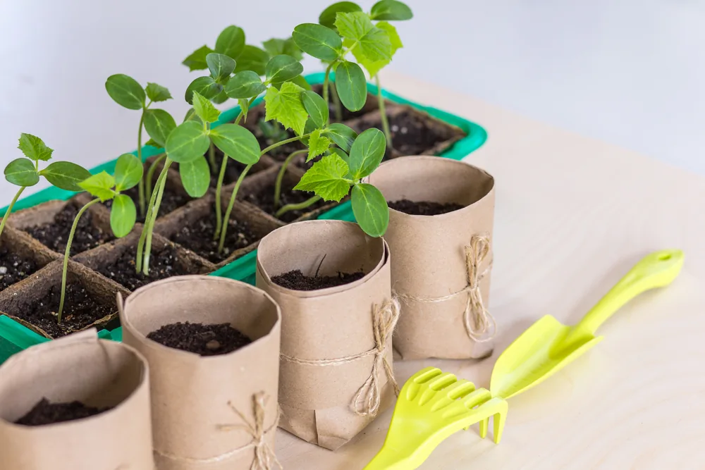 Cardboard Craft Ideas for DIY Home Decor